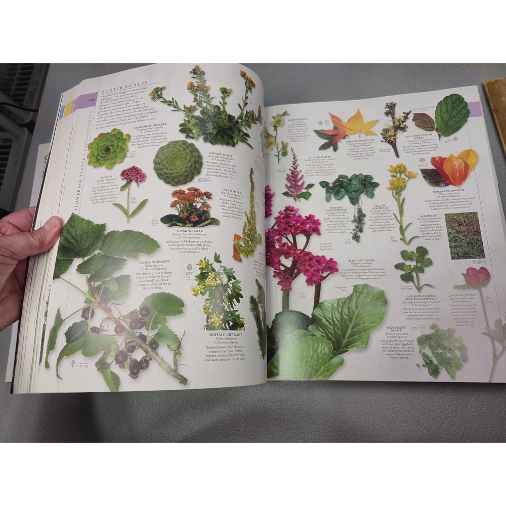 Smithsonian Natural History The Ultimate Visual Guide Everything on Earth DKBook - Picture 7 of 12